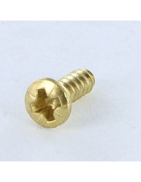 1 x Vis tôle Tête fraisée bombée TFB Pozi 4.2X30 Acier laitonne