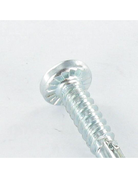 1 x Vis autoperceuse Tête cylindrique TC EMPR Carré 4.2X19 Acier zingué