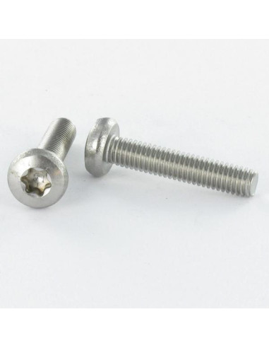 1 x Vis métaux tête cylindrique bombée large...