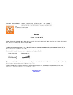 Vis tôle tête cylindrique bombée large Pozi 3.5X19 Acier... 2
