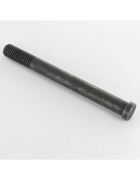 1 x Vis métaux Tête cylindrique TC Non fendue M12X120 Filetée sur 30 Diamètre de tête: 15/5 Classe 8.8 Acier brut