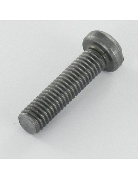 1 x Vis métaux Tête cylindrique TC POZI et fendu M5X20 Acier brut