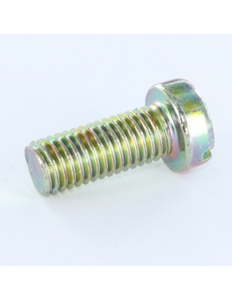 1 x Vis métaux Tête cylindrique TC Fendue M6X50 Bichromaté