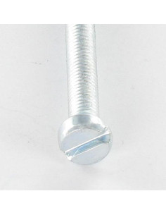 Vis métaux Tête cylindrique TC Fendue M8X10 Acier zingué 2
