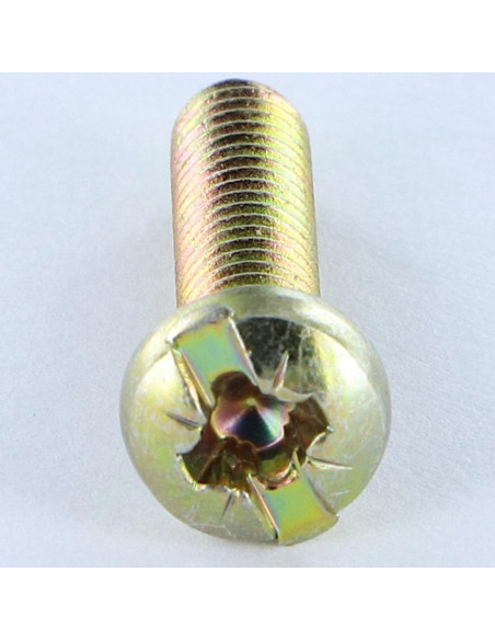 1 x Vis métaux Tête cylindrique bombée TCB POZI et fendu M4X16 Diamètre de tête: 7 Bichromaté
