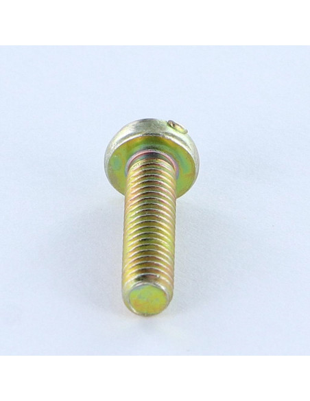 1 x Vis métaux Tête cylindrique bombée TCB POZI et fendu M4X16 Diamètre de tête: 7 Bichromaté