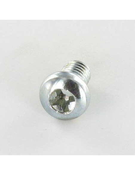 1 x Vis métaux Tête cylindrique bombée TCB Pozi N°3 M6X35 Acier zingué