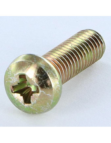 1 x Vis métaux Tête cylindrique bombée TCB Pozi...