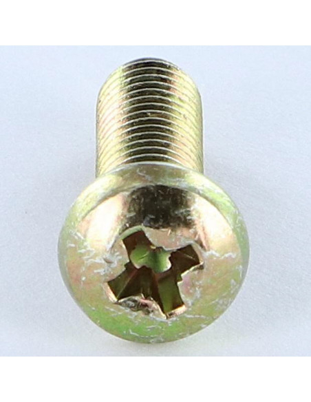 1 x Vis métaux Tête cylindrique bombée TCB Pozi N°3 M6X38 Pozi N°2 200 Heures brouillard salin Bichromaté