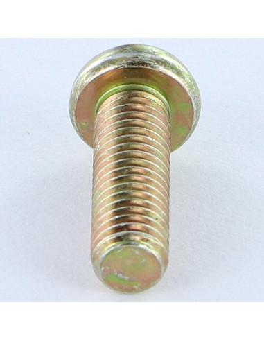1 x Vis métaux Tête cylindrique bombée TCB Pozi...