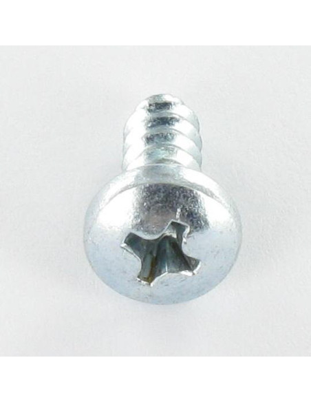 1 x Vis tôle tête cylindrique bombée large Phillips n° 3 5.5X32 Acier zingué