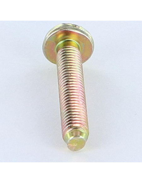 1 x Vis métaux Tête cylindrique large TCL Fendue M6X35 B.P. Bichromaté