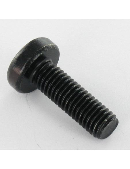1 x Vis métaux tête cylindrique bombée large M4X16 TORX T20 Acier zingué noir