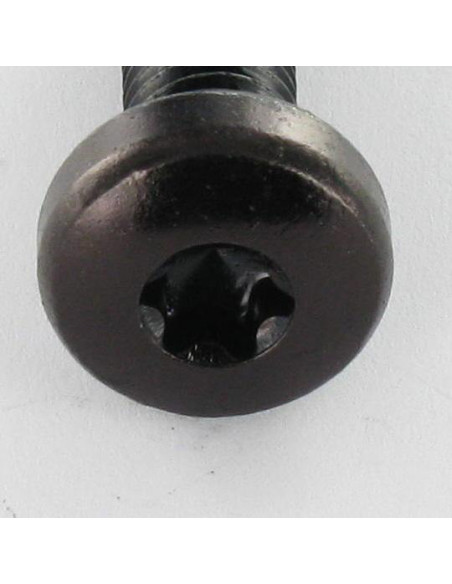 1 x Vis métaux tête cylindrique bombée large M4X16 TORX T20 Acier zingué noir