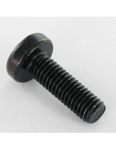 Vis métaux tête cylindrique bombée large TORX T30 M6X16... 2