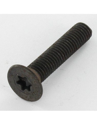 1 x Vis métaux Tête fraisée TORX T20 M4X6...