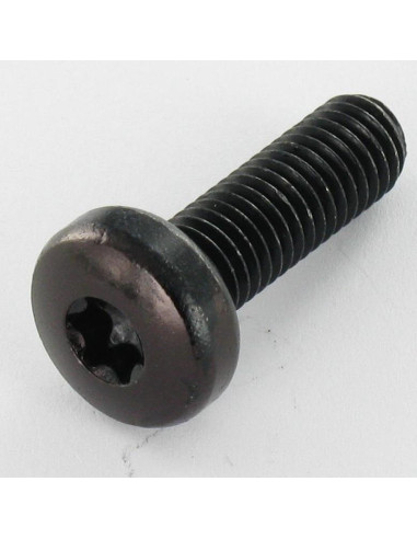 1 x Vis métaux tête cylindrique bombée large...