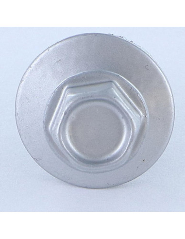 1 x Vis autoperceuse Tête hexagonale TH 5.5X25...