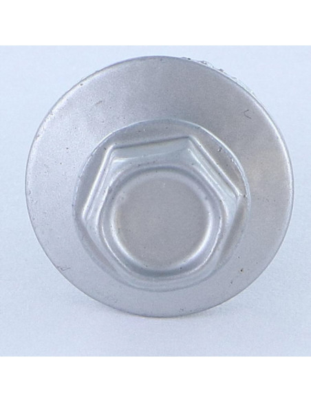 1 x Vis autoperceuse Tête hexagonale TH 5.5X25 Rondelle d'étanchéite EPDM Acier zingué RAL9006 aluminium blanc