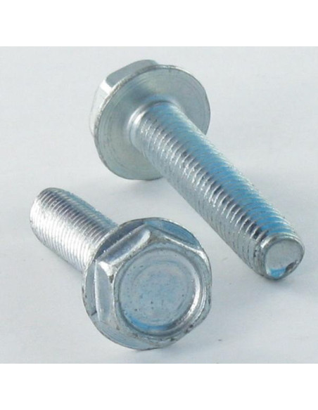 1 x Vis autotaraudeuse Tête hexagonale TH Embase collerette Lisse M10X40 Acier zingué