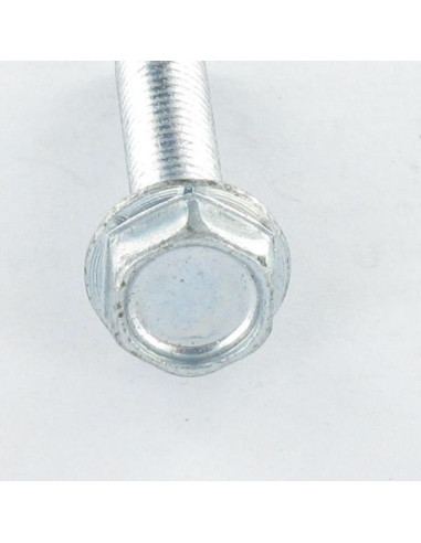 1 x Vis autotaraudeuse Tête hexagonale TH...