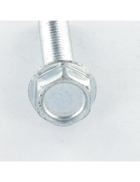 1 x Vis autotaraudeuse Tête hexagonale TH Embase collerette Lisse M4X25 Acier zingué