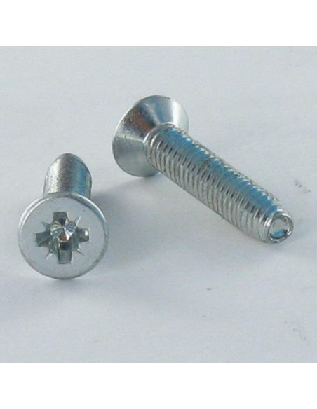 1 x Vis autotaraudeuse Tête fraisée M3X25 Pozi N°1 Acier zingué microvis