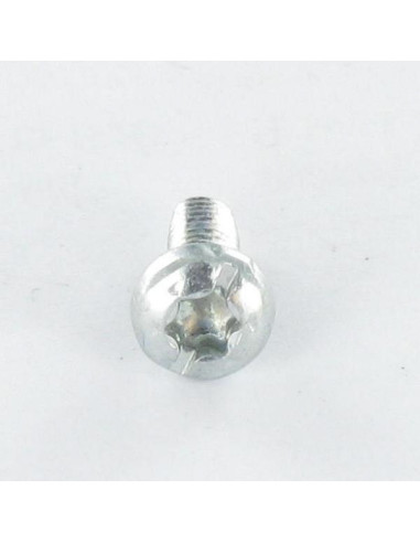 1 x Vis autotaraudeuse Tête cylindrique TC TORX...