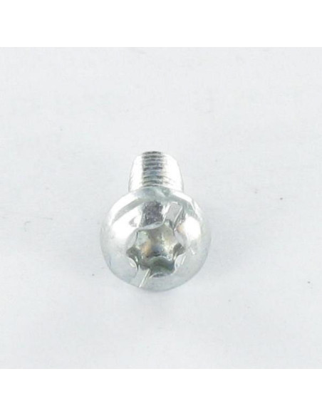 1 x Vis autotaraudeuse Tête cylindrique TC TORX Filetée sur Fendue 4X10 Cranté Acier zingué