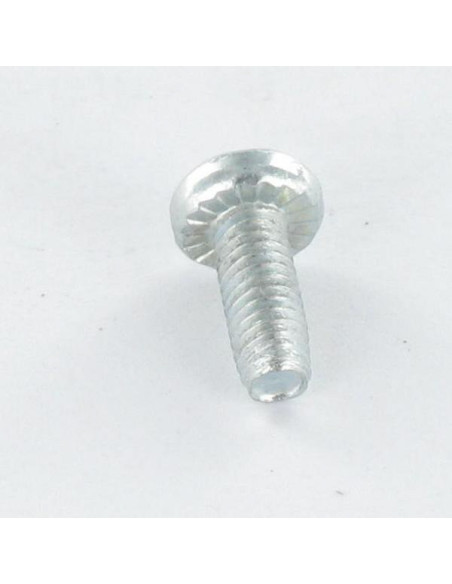 1 x Vis autotaraudeuse Tête cylindrique TC TORX Filetée sur Fendue 4X10 Cranté Acier zingué