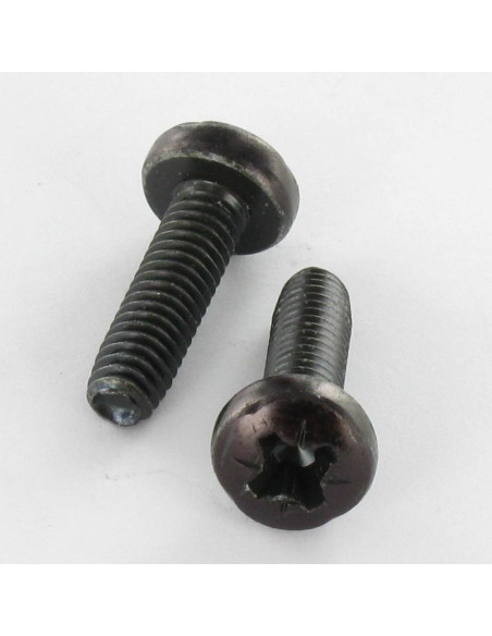 1 x Vis autotaraudeuse tête cylindrique bombée large M3X6 Pozi N°1 Acier zingué noir microvis
