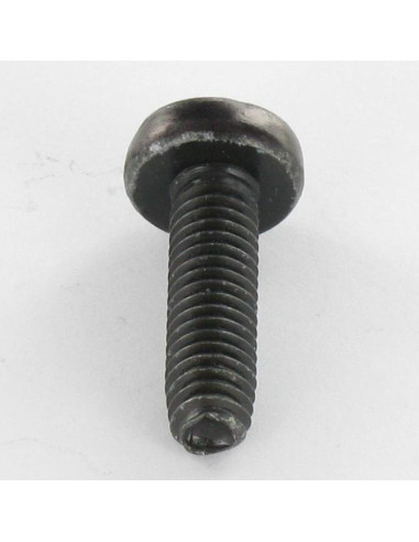 1 x Vis autotaraudeuse tête cylindrique bombée...