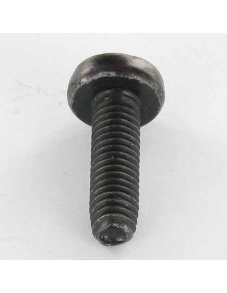 1 x Vis autotaraudeuse tête cylindrique bombée large M3X10 Pozi N°1 Acier zingué noir microvis
