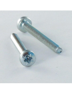 Vis autotaraudeuse tête cylindrique bombée large M3X12...