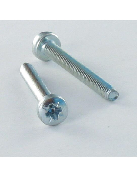 1 x Vis autotaraudeuse tête cylindrique bombée large M3X12 Pozi N°1 Acier zingué microvis