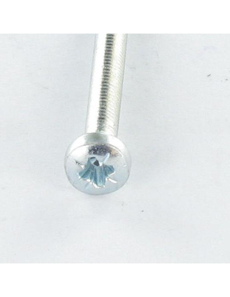 1 x Vis autotaraudeuse tête cylindrique bombée large M3X12 Pozi N°1 Acier zingué microvis