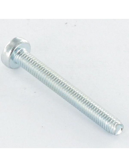 1 x Vis autotaraudeuse tête cylindrique bombée large M3X25 Pozi N°1 Acier zingué microvis