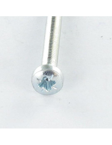 1 x Vis autotaraudeuse tête cylindrique bombée...