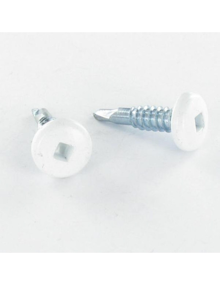 1 x Vis autoperceuse Tête cylindrique TC EMPR Carré 4.2X19 Acier zingué RAL9010 blanc pur