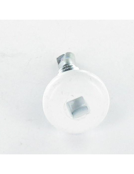 1 x Vis autoperceuse Tête cylindrique TC EMPR Carré 4.2X19 Acier zingué RAL9010 blanc pur