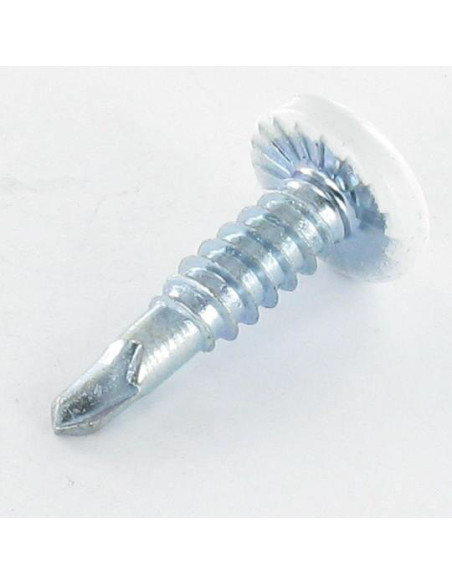 1 x Vis autoperceuse Tête cylindrique TC EMPR Carré 4.2X19 Acier zingué RAL9010 blanc pur