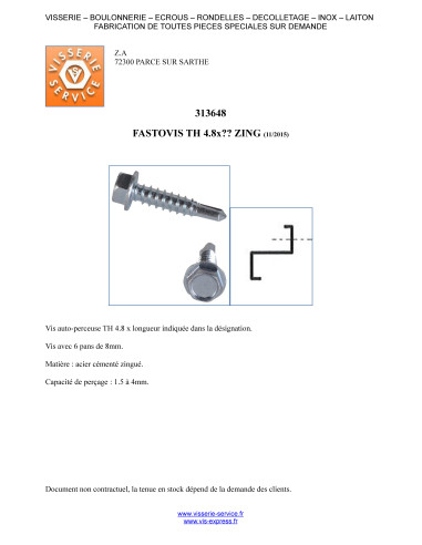 1 x FASTOVIS Tête hexagonale TH 4.8X19 Acier...