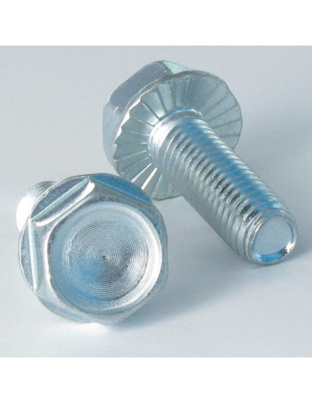 1 x Vis autotaraudeuse Tête hexagonale TH Embase collerette crantée M10X30 Acier zingué