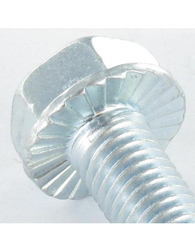 1 x Vis autotaraudeuse Tête hexagonale TH...