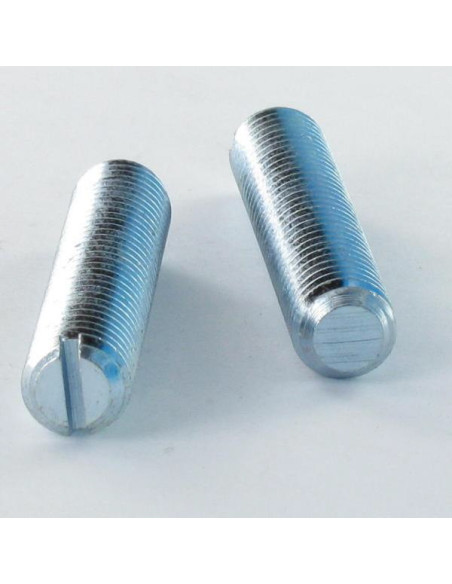 1 x Vis métaux Sans tête Fendue M6X10 Bout plat Acier zingué