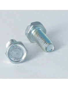 Vis autotaraudeuse Tête hexagonale TH M5X15 Acier zingué