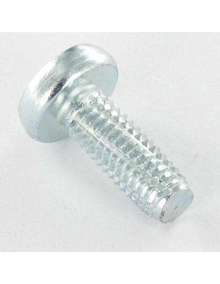 1 x Vis autotaraudeuse tête cylindrique bombée large PHILLIPS 6X16 Acier zingué