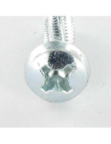 1 x Vis autotaraudeuse tête cylindrique bombée...
