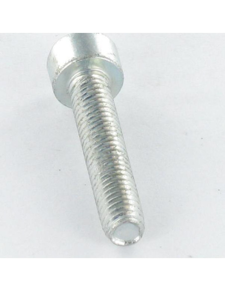 1 x Vis autotaraudeuse Tête cylindrique TC M4X10 TORX T20 Acier zingué