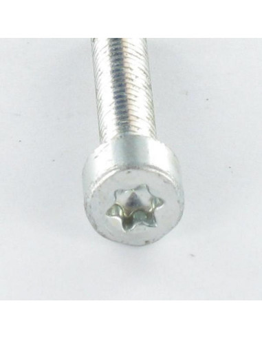 1 x Vis autotaraudeuse Tête cylindrique TC...